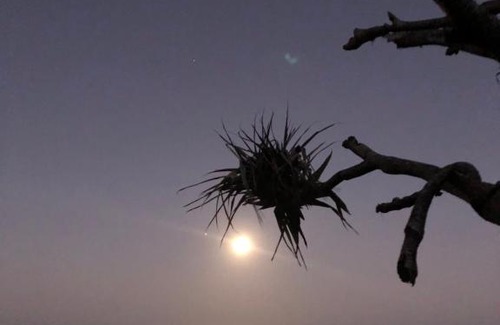 Peregian Beach Apartamento | Horizons At Peregian