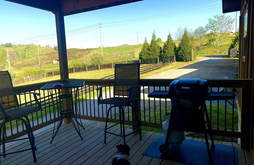 Horse Shoe Casa | Horse Friendly Barn Apartment with central location to hiking biking brewery’s