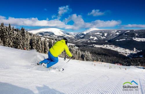 Pec pod Snezkou Cabina | Horský hotel Žižkova bouda