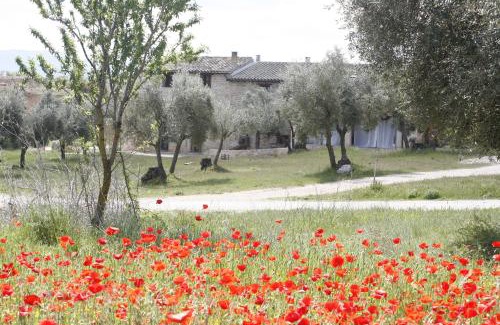 Cretas Apartamento | Hort de L'Aubert
