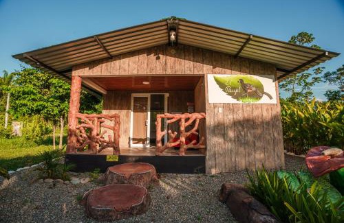 San Jose del Guaviare Hotel | Hospedaje El Kinkajú Lodge