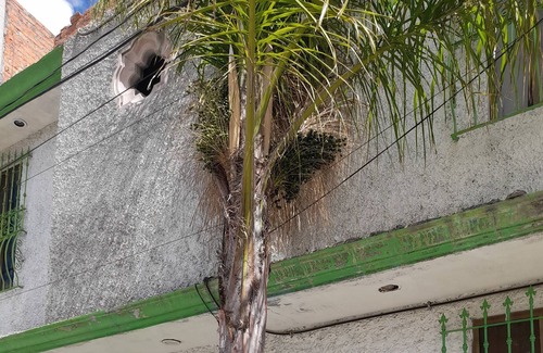 Aguascalientes Casa | Hostal Sinhue