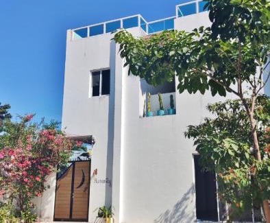Joaquín Zetina Gasca Hostal | Hostel Humanity
