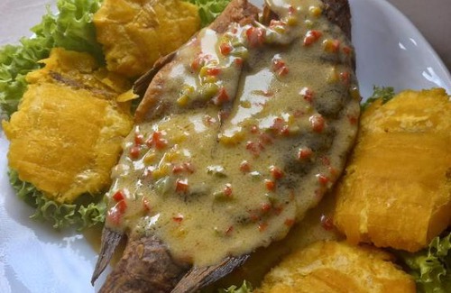Ecuadorian Amazon Hotel | Hosteria Los Arbolitos