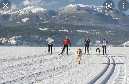 East Kootenay Cabina | Hot Springs Cabin (Se aceptan mascotas)