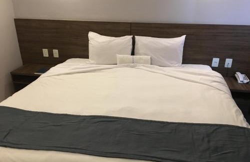 Goiana Hotel | Hotel Abba Goiana PE