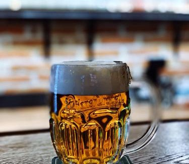 Trebic Hotel | Hotel & Apartments U Černého orla