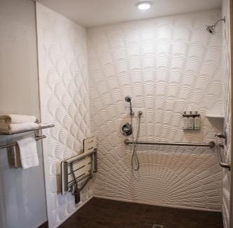 Old Mountain View Hotel | Hotel Aria