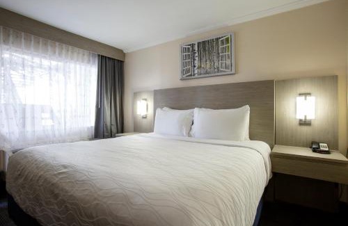 Flagstaff Hotel | Hotel Aspen Flagstaff/Grand Canyon InnSuites