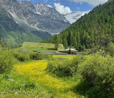 Solda Hotel | Hotel Bambi Am Park