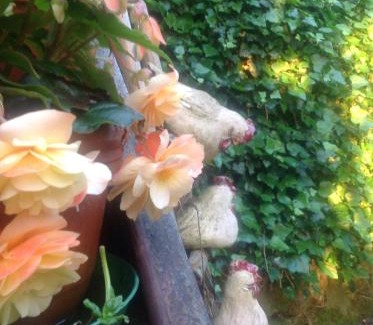 Dannenfels Hotel | Hotel Berg