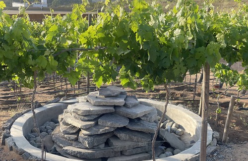 Valle de Guadalupe Cabina | Hotel Boutique Kpricho