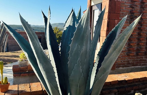 Valle de Guadalupe Cabina | Hotel Boutique Kpricho