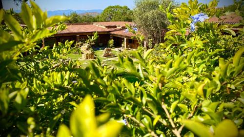 Ixtapan de la Sal Hotel | Hotel Boutique Matea Inn