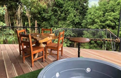 Gallinazo Cabina | Hotel Cabañas y Chalets lujosos Mágica Luna Manizales