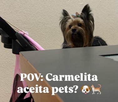 Aparecida Hotel | Hotel Carmelita