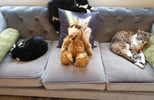 Gramat Hotel | Hotel du Centre