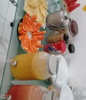 Santarem Hotel | hotel encontro das aguas