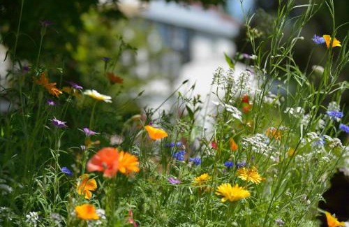 Isny im Allgaeu Hotel | Hotel Hohe Linde