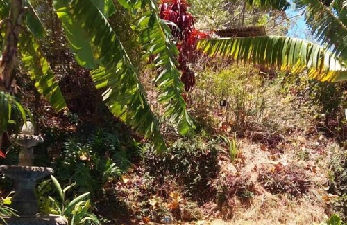 San Juan del Sur Hotel | Hotel Julid