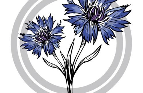 Haundorf Hotel | Hotel Kornblume