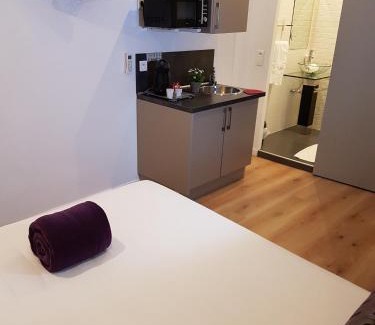 Cannes City Centre Hotel | Hotel l'Hotera