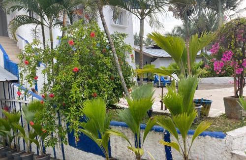 Drogba Beach Hotel | Hotel La Madrague