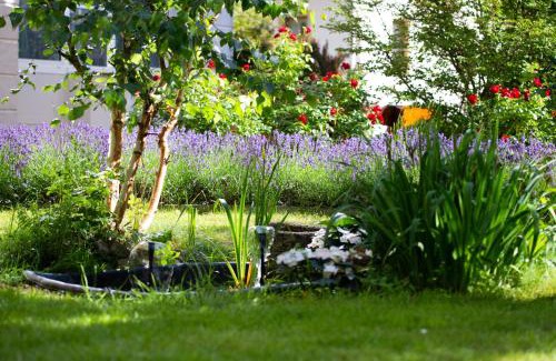 Bad Schandau Hotel | Hotel Lindenhof Bad Schandau