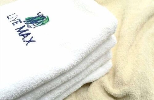 Kurashiki Hotel | Hotel Live Max Okayama Kurashiki Station