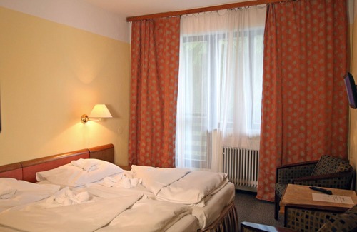 Frysava pod Zakovou horou Hotel | Hotel Medlov Dependance