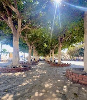 Medina de Sousse Casa | Hotel Medina Sousse Dar Shams