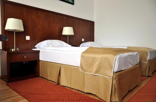 Ramnicu Valcea Hotel | Hotel Miraj
