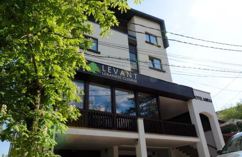 Ramnicu Valcea Hotel | Hotel Miraj
