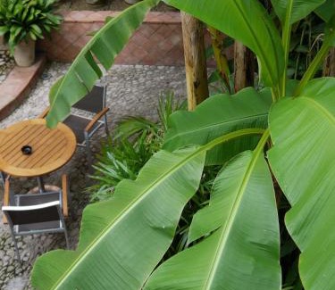 Menton Hotel | Hotel Napoléon