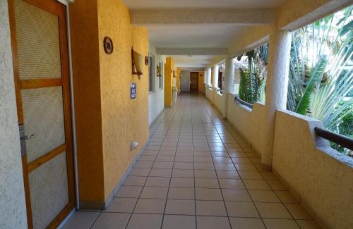 Tuxtla Gutiérrez Hotel | Hotel Palapa Palace