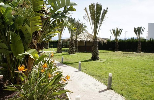 Oliva Apartamento | Hotel Playa Oliva