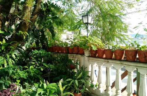 Xilitla Casa | Hotel Posada Casa del Ingenio