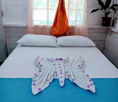 Puerto Narino Casa | Hotel Tatüane mundo Amazónico