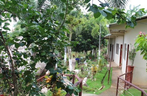 Parrita Apartamento | Hotel vista Bonita- Tucan Room