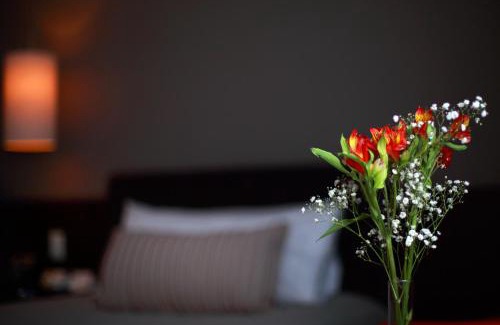 General Roca Hotel | Hotel y Casino Del Río - General Roca