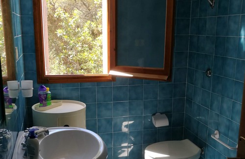 Carloforte Casa | Casa inmersa en el bosque de pinos