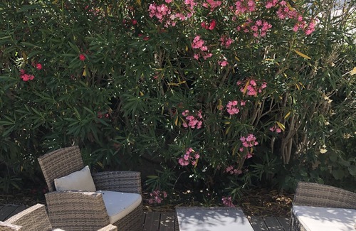 Eyragues Casa | House in the heart of the village