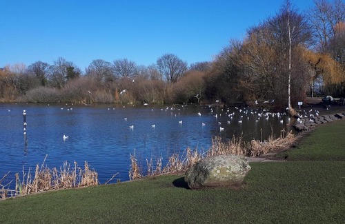 Rowton Casa | House - Sleeps 7 Pet Friendly & Free Parking