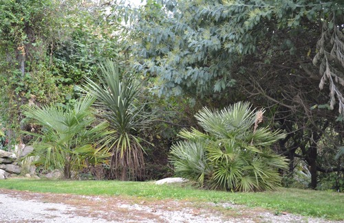Ile-aux-Moines Casa | Casa / villa / chalet - Ile aux moines