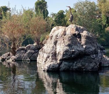 Aswan Alquiler De Eote | Houseboat Hotel and Nile Cruises Zainoba