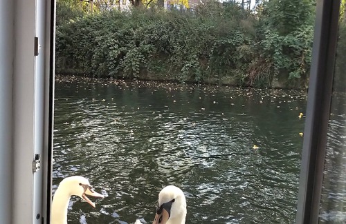 Barmbek-Sued Alquiler De Eote | Casa flotante en el centro de Hamburgo en lugar de casa unifamiliar con jardín directamente en el agua