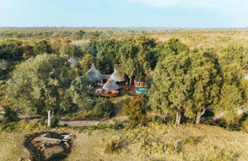 Kruger National Park Cabina | Hoyo Hoyo Safari Lodge