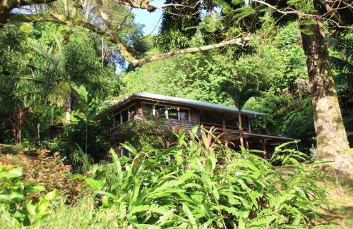 Huahine Cabina | HUAHINE Manta Lodge avec 4x4 optionnel