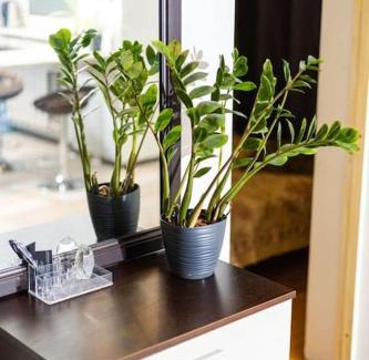 Jarve Apartamento | Hubane korter Järvel