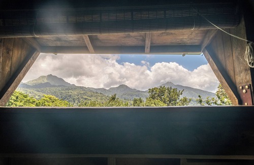 Roseau Cabina | Hummingbird Haven
